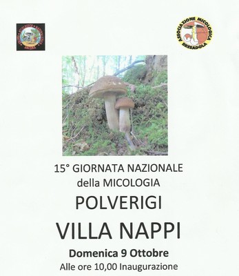 Locandina Mostra Polverigi