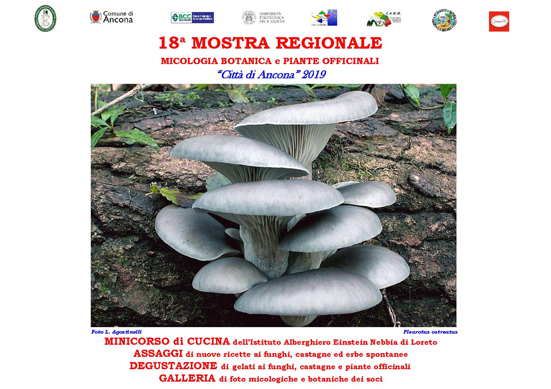 Manifesto 100x140 Mostra 2019 bozza Pagina 1