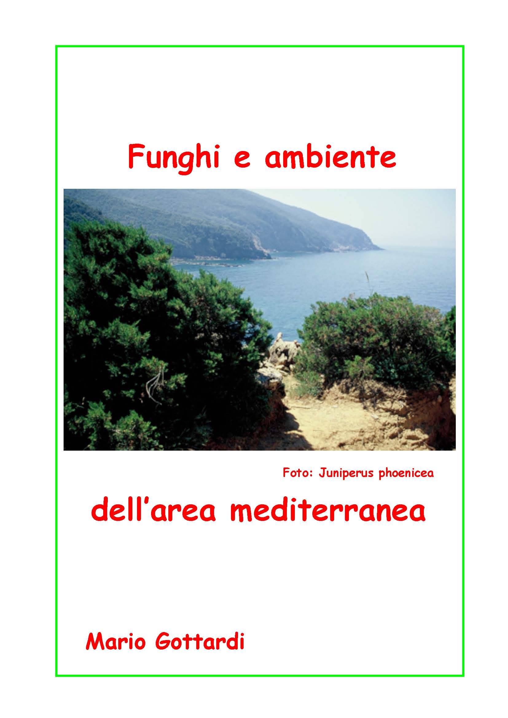 funghi_e_ambiente