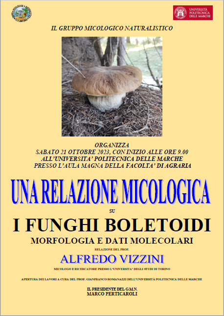 Relazione Vizzini