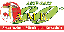 Associazione Micologica Bresadola