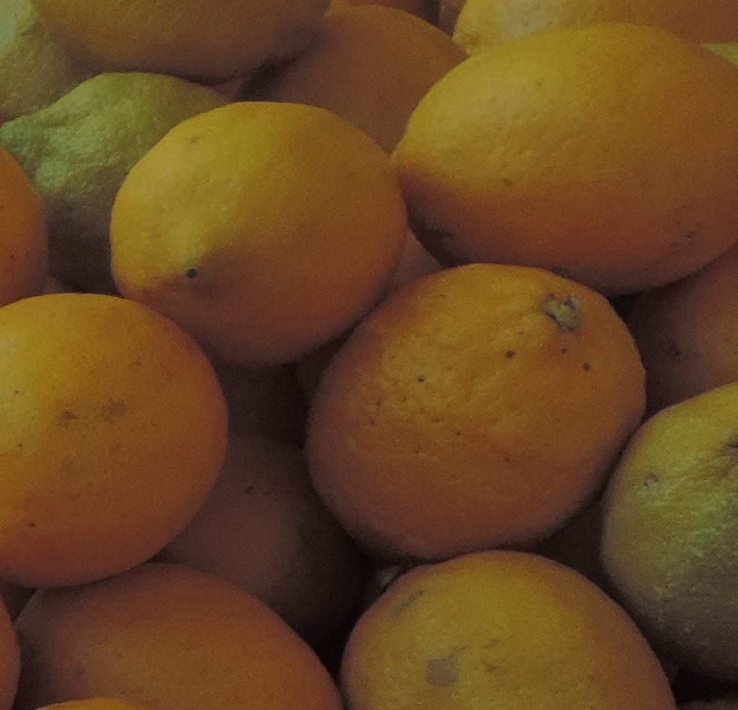 lemonCitrusparadisiz