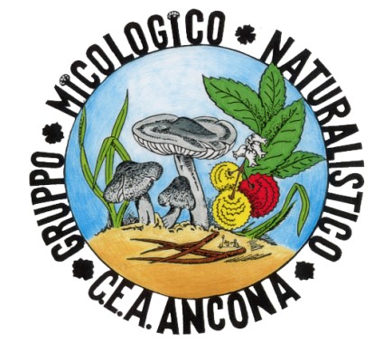 Gruppo Micologico Ancona 2022