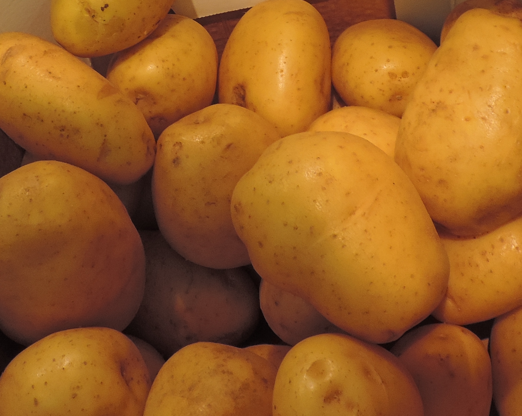 patate