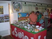 DSCN1420