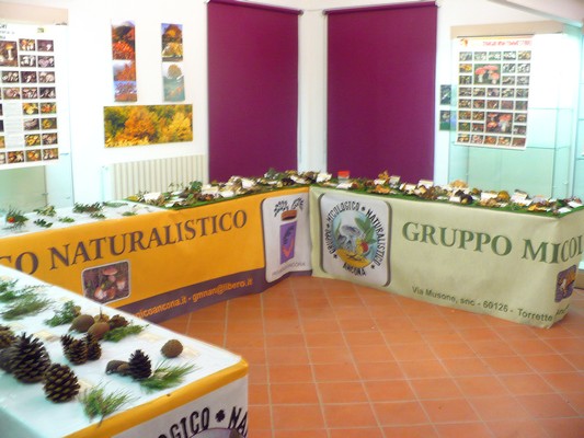 P1060878