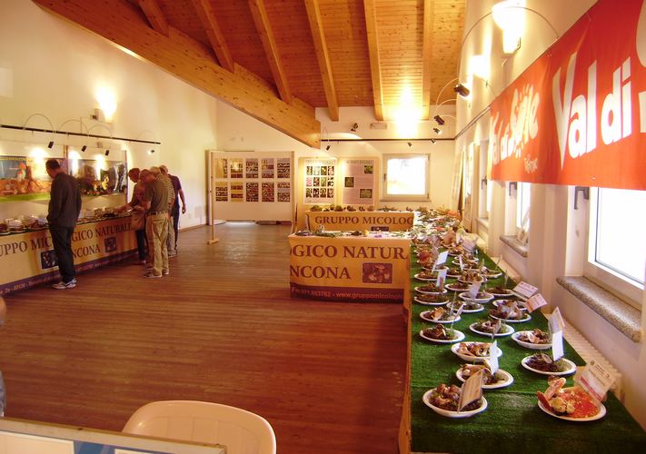 mostra_a