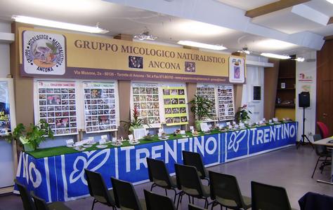 raduno_studio_2012__TESERO_008