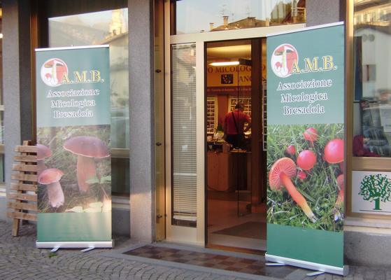 raduno_studio_2012__TESERO_117