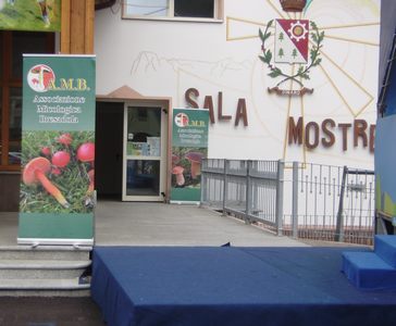 sala_mostre