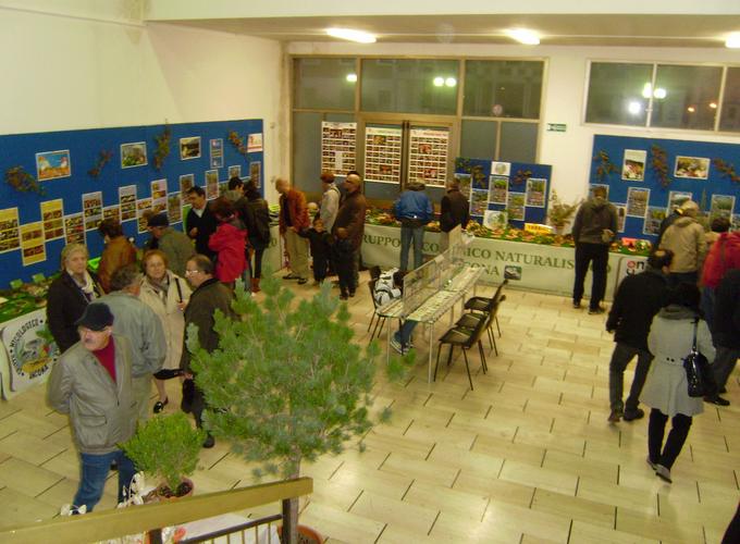 varie_ottobre_2011_010