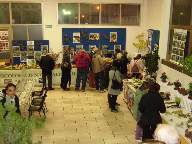 varie_ottobre_2011_012