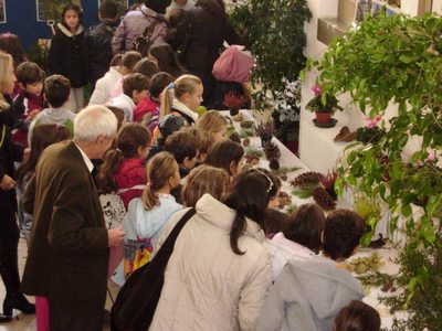 varie_ottobre_2011_035